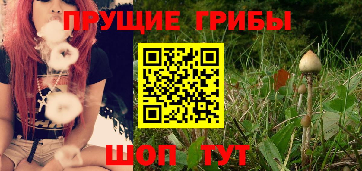 Урай  закладка  Псилоцибиновые грибы MAGIC MUSHROOMS  Вход с VPN  Галлюциногенные грибы Psilocybe 