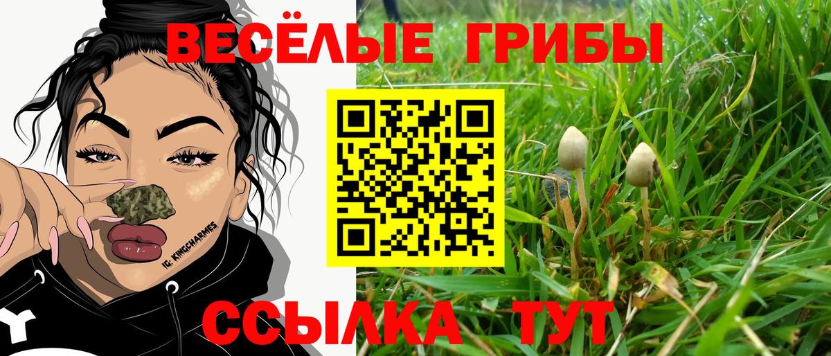Галлюциногенные грибы MAGIC MUSHROOMS Урай